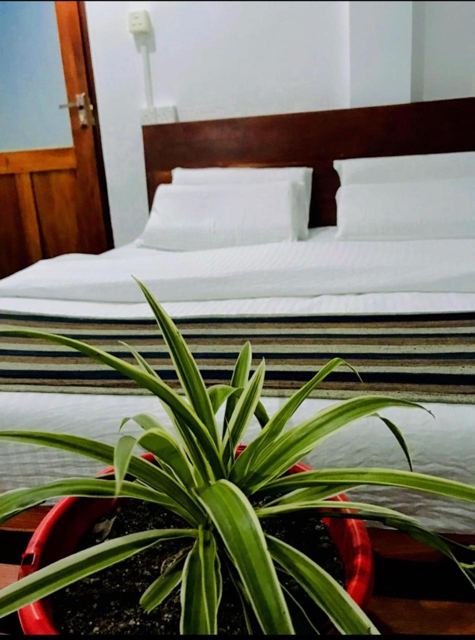 Minthu Homestay Ella Exterior photo